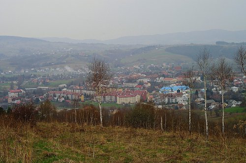 Strzyżów