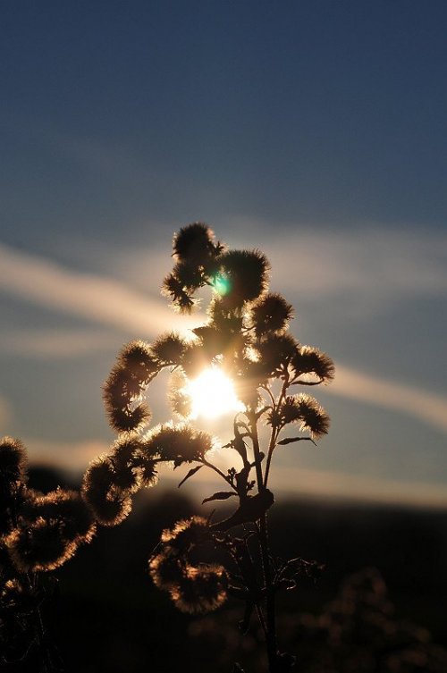 W jesiennym słońcu