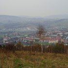 Strzyżów