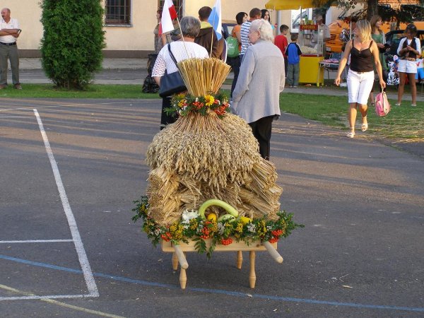 fot. Tomasz Bysiewicz