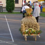 fot. Tomasz Bysiewicz