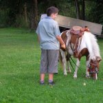 fot. Tomasz Bysiewicz