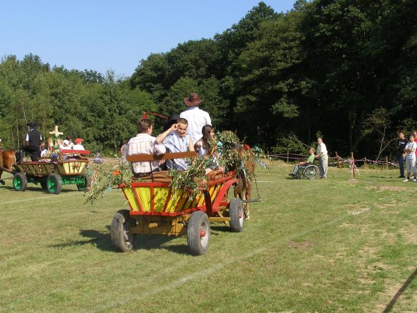 fot. Tomasz Bysiewicz