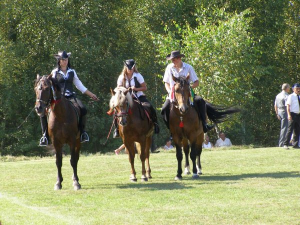 fot. Tomasz Bysiewicz