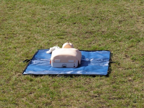 fot. Tomasz Bysiewicz