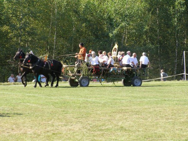 fot. Tomasz Bysiewicz