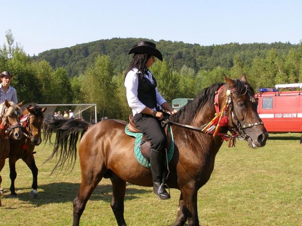 fot. Tomasz Bysiewicz