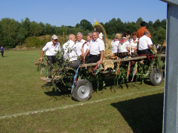 fot. Tomasz Bysiewicz