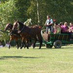 fot. Tomasz Bysiewicz