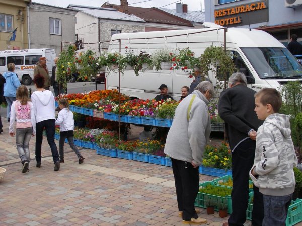 Drugi dzień obchodów Dni Ziemi Frysztackiej 2011