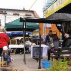 Drugi dzień obchodów Dni Ziemi Frysztackiej 2011