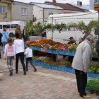 Drugi dzień obchodów Dni Ziemi Frysztackiej 2011