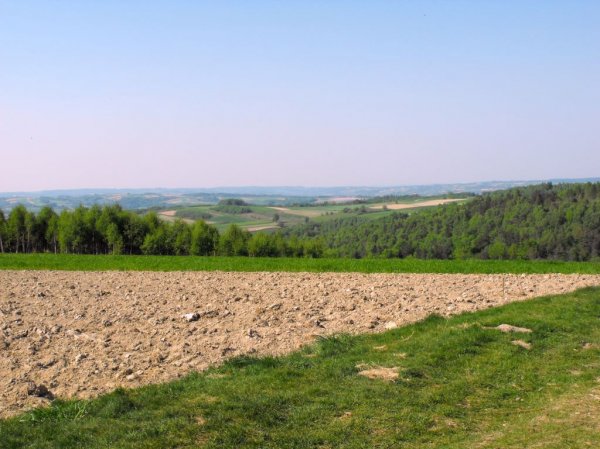 powiat strzyżowski w plenerze natura