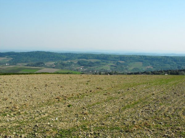 Widok z powiatu strzyżowiskiego