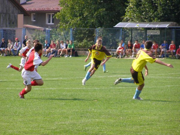 fot. Tomasz Bysiewicz