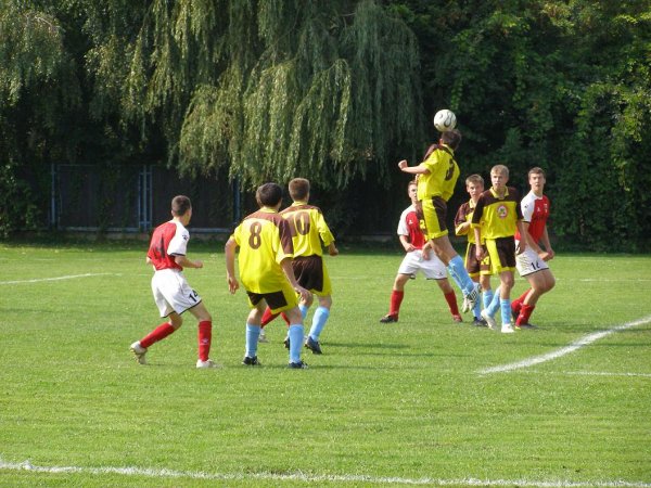 fot. Tomasz Bysiewicz