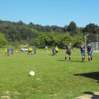 LKS ALBATROS - PŁOMYK NIEBYLEC (3-1)