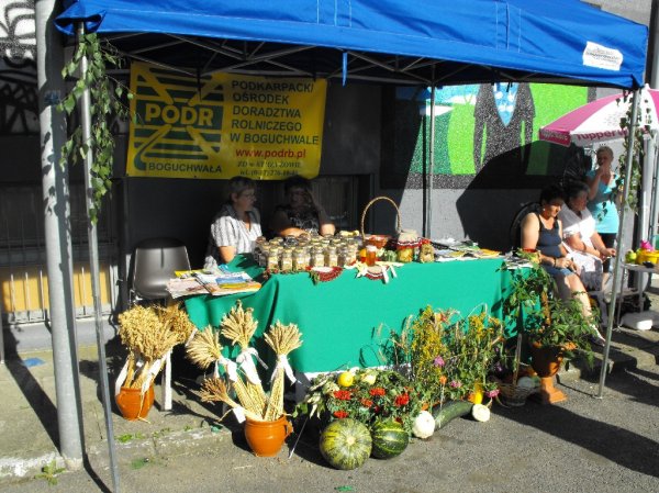 Dożynki 2011 w Strzyżowie