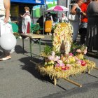 Dożynki 2011 w Strzyżowie