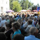 Dożynki 2011 w Strzyżowie