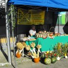 Dożynki 2011 w Strzyżowie