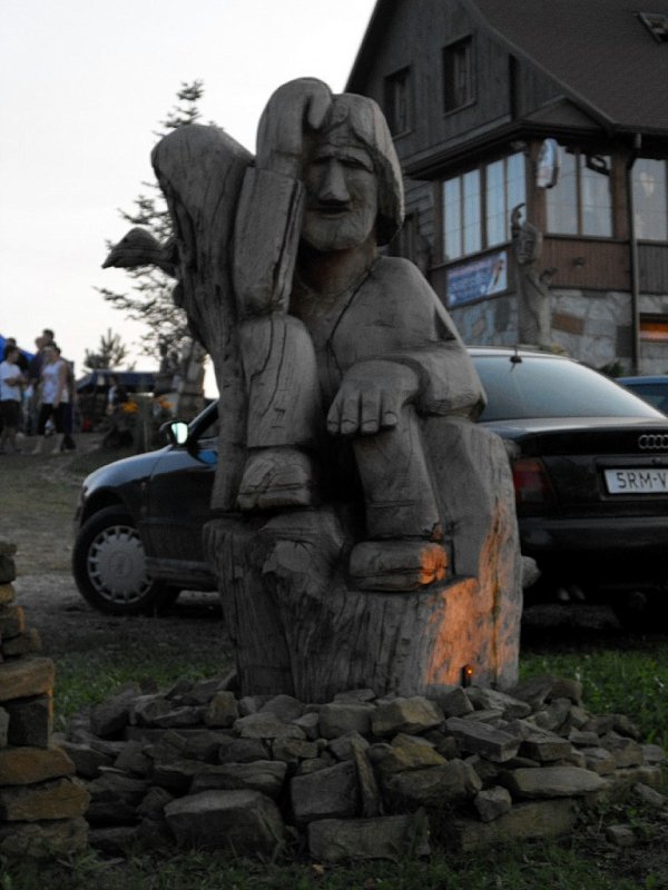 I Międzynarodowego Plener w Drewnie - Gogołowskie drzewoludy 2009