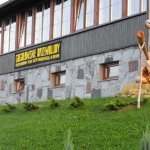 I Międzynarodowego Plener w Drewnie - Gogołowskie drzewoludy 2009