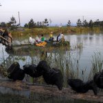 I Międzynarodowego Plener w Drewnie - Gogołowskie drzewoludy 2009