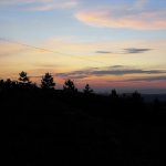 I Międzynarodowego Plener w Drewnie - Gogołowskie drzewoludy 2009