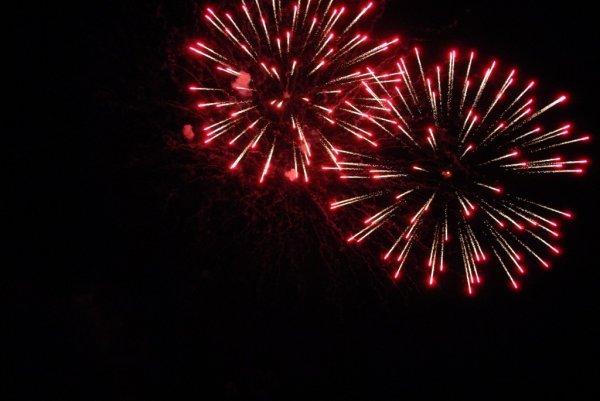 Galeria zdjęc z Dni Ziemi Frysztackiej 2013, koncert Sami