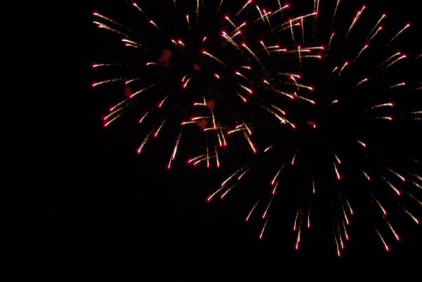 Galeria zdjęc z Dni Ziemi Frysztackiej 2013, koncert Sami