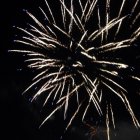 Galeria zdjęc z Dni Ziemi Frysztackiej 2013, koncert Sami