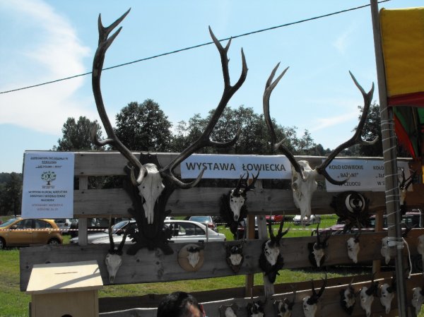 Dożynki Malinowe Połomia 2011