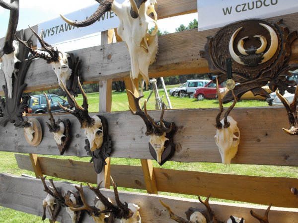 Dożynki Malinowe Połomia 2011