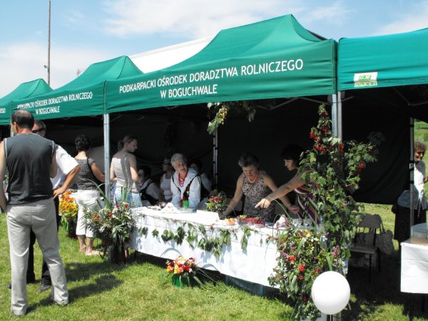 Dożynki Malinowe Połomia 2011