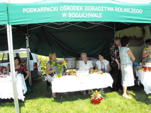 Dożynki Malinowe Połomia 2011