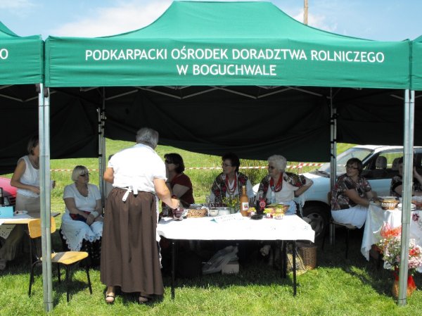 Dożynki Malinowe Połomia 2011