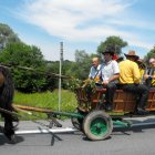 Dożynki Malinowe Połomia 2011
