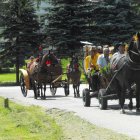 Dożynki Malinowe Połomia 2011