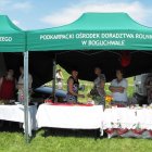 Dożynki Malinowe Połomia 2011