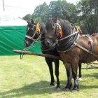 Zdjęcia z Dożynek z Połomi 2011