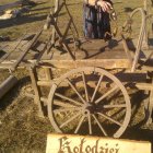 NARODZIN CHLEBA - GINĄCE ZAWODY