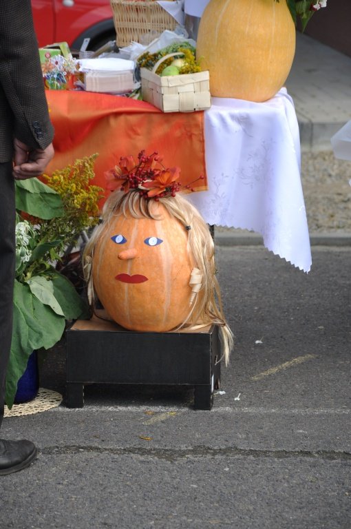Zdjęcia z Powiatowo-Gminnego Święta Plonów we Frysztaku