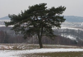 Pogranicze Szufnarowej i Jaszczurowej 