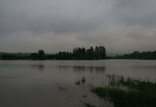 Strzyżów pod wodą