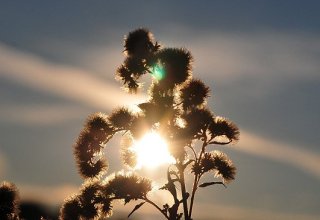 W jesiennym słońcu
