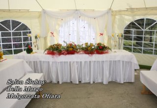 Namioty Mielec wynajem, namiot na ślub.