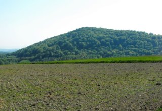 widok na górę chełm