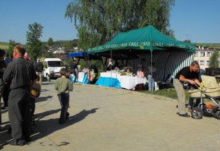 Wystawa Stępina 3 maj 2009