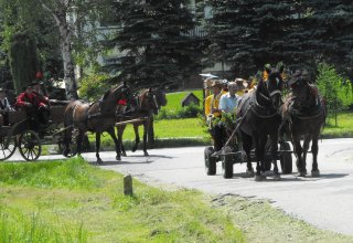 Dożynki 2011 w Strzyżowie
